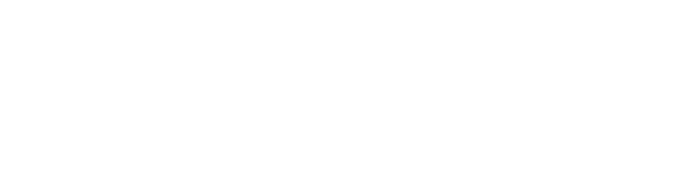 Financira Evropska Unija Logotip